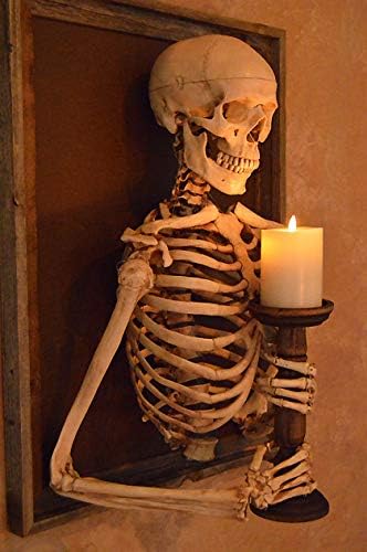 Framed 3D Life-Size Skeleton Torso Holding Flameless Candle