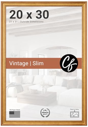 Craig Frames 20x30 Frame, Ornate Traditional Gold Picture Frame for Wall Decor