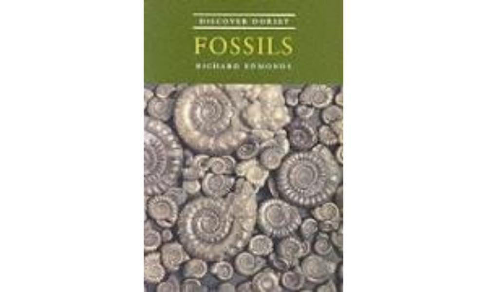 AA - 50 Walks In Dorset NEW Paperback Book | UK - Foto 6