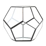Koyal Wholesale Geometric Terrarium Glass Table Decoration, Planter for Succulents, Cactus, Air Plants, Indoor Plants, Outdoor Plants (Pentagon, Black)