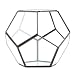 Koyal Wholesale Geometric Terrarium Glass Table Decoration, Planter for Succulents, Cactus, Air Plants, Indoor Plants, Outdoor Plants (Pentagon, Black)