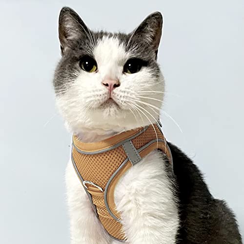 Joytale Step in Dog Harness,Soft Mesh Reflective Breathable Vest Harnesses,Easy Walk Harness with Safety Buckle for Cat,Puppies and Extra Small Dogs,XXS,Brown - Image 2