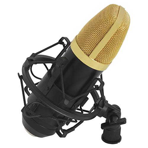 �}�C�N�����^���̃}�C�N�e�ʃ}�C�NK�̉̃A�[�e�B�t�@�N�g�}�C�N ������ �^�� �h�L���X�g�r�f�I��c�ȂǂɑΉ� (Color : �u���b�N)