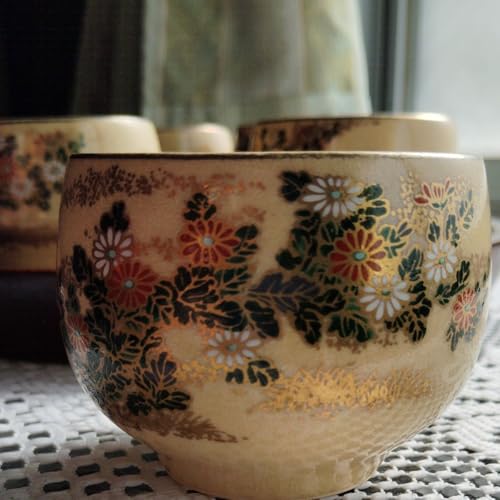 Fāi̓`H|ijʓۂ5qZbg i ʂɏiȋe͗l?