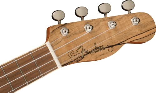 Fender Zuma Exotic Concert Ukulélé Noyer Doigter Maple - Les Beatles, Paul McCartney, John Lennon, RIngo Starr, George Harrison Fender Zuma Exotic Concert Ukulélé Noyer Doigter Maple – Image 6