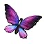Purple Butterfly