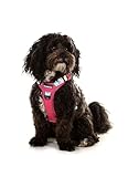Doodlebone - With Me Dog Harness - 3-click harness - fully adjustable, padded grab handle, reflective, machine washable dog harness, strength tested componentry (Pink Pastel Paint Splat, 2-4) - Image 4