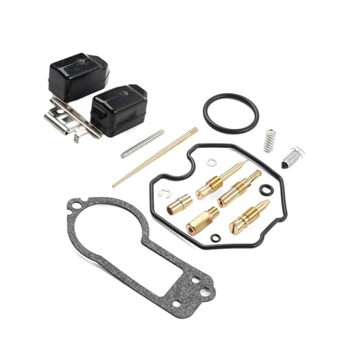 ɓKz_ XR250R XR 250R 1996-2004 p oCNpLu^[CLbg Lu^[CrhLbg Lu^[p[c