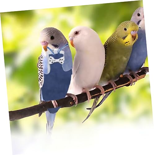 Yardwe 5 Stück Vogelwindeln Für Papageien Sittiche Aras Fluganzug Waschbar Vogelanzug Windel Aus Baumwollmaterial Entzückendes Vogelkleidungszubehör