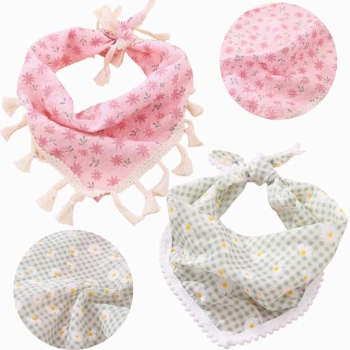 2 t  o_i fCW[ t[ XJ[t ߉\ q o_i Op` \ 悾ꂩ nJ` ^ ^ L