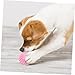 INOOMP 5pcs Round Pet Toy for Puppies Chew and Teething Toy Interactive Dog Molar for Dogs Fun and Engaging Pet Playtime Accessory