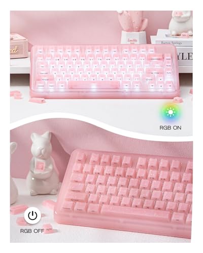 Image of EPOMAKER Frost Jelly Keycaps Set, 126 Keys Forged Carbon Fiber Keycaps | Cherry Profile, ABS+PC, MX-Style Compatible for 61 /68 /84 /87 /98 /100 /104 /108 ANSI Layout Mechanical Gaming Keyboards (Pink)