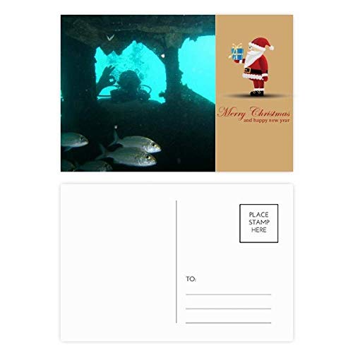 Cartes postales Ocean Fish : lot de 20 illustrations nature pour correspondances créatives