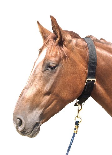 AMKA, Collare per Cavallo