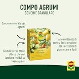 Zoom IMG-1 compo concime a lenta cessione Zoom IMG-1 compo concime a lenta cessione