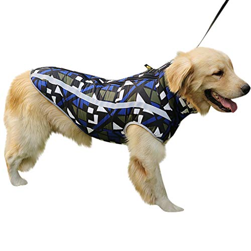 tanner and dash dog coats