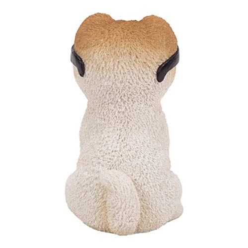 Amazon.co.jp: Pacific Giftware PT ショートヘアブー 犬 ブラック