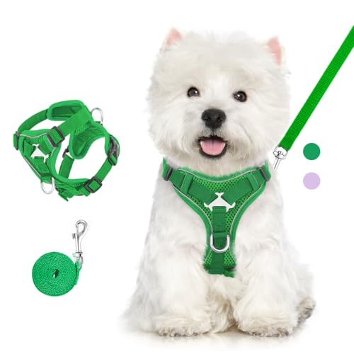 VavoPaw Pettorina per Cani con Guinzaglio da 1,5M, Imbracatura per Gatti Antifuga con Rete Traspirante e Strisce Riflettenti, Gilet Morbido e Regolabile per Cani Gatti, L, Verde Medio