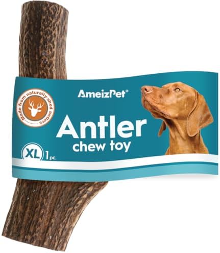 Ameizpet Antler Chews For Dogs - All Natural Dog Chews, Long Lasting Elk Antler Bones for Dogs, Durable Deer Antler For Dogs  1pc M Size Deer Antler