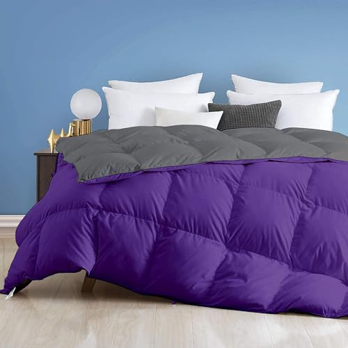 Image of Day Care - 400 GSM Hotel Quality-Down Alternative Reversible Comforter (90 inch x 90 inch Inches /228cm x 228cm) - Comforter Queen Size|Purple /Dark Grey