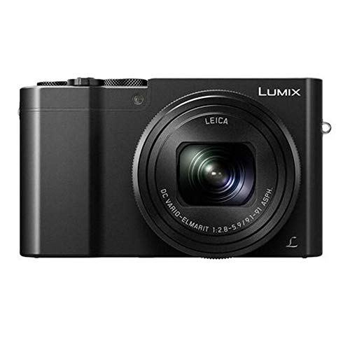 Panasonic Lumix ZS100 Review: Big Sensor Meets Pocket Zoom