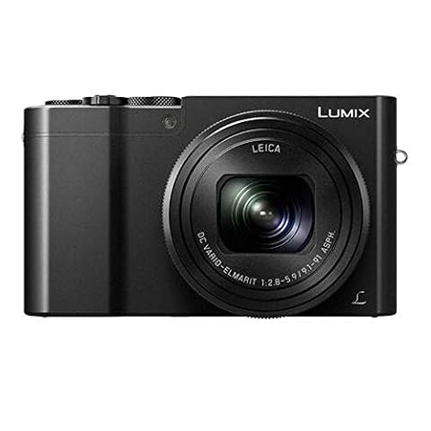Panasonic Lumix ZS100 Review: Big Sensor Meets Pocket Zoom
