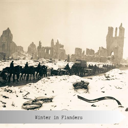 Winter in Flanders