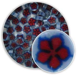 Chinese Bellflower Murrine 1101-96 Millefiori COE 96 Glacial Art Glass