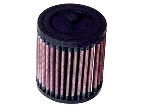 K&N Engine Air Filter: High Performance, Premium, Powersport Air Filter: 2001-2019 HONDA (TRX250X, TRX250TE Recon ES, TRX250TM Recon, TRX250EX) HA-2501