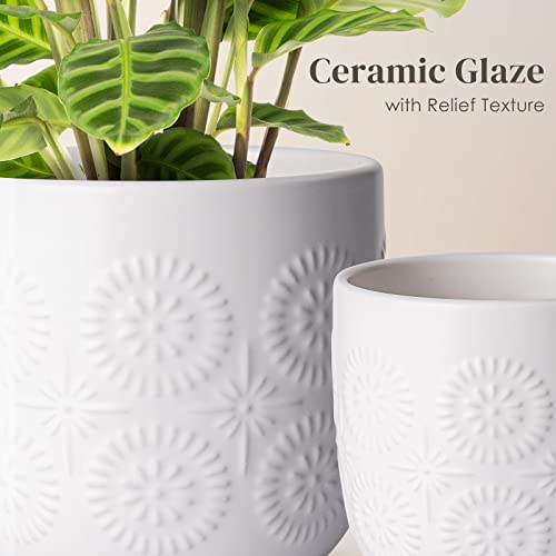 Jofamy Ceramic Pots For Indoor Plants, Houseplant Flower Pots 2 Set 6 In &4.7 In Indoor White Planters With Drainage, Spring Choice Christmas Plant Pot(Embossed Daisy) #TOP2