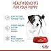 ROYAL CANIN Mini Puppy | 4er Pack | 4 x 12 x 85 g | Nassfutter für kleine Hundewelpen | Bis zum 10. Lebensmonat | Feine Stückchen in Soße | Weiche Textur für die Milchzähne