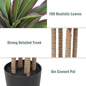 Dracaena Artificial Plant 6ft Red Yucca Silk Tree Faux Plants Indoor Tall Fake House Floor Plants Realistic Artificial Trees for Home Office Decor Indoor Outdoor Housewarming Gift Dracaena Artificial Plant 6ft Red Yucca Silk Tree Faux Plants Indoor Tall Fake House Floor Plants Realistic Artificial Trees for Home Office Decor Indoor Outdoor Housewarming Gift