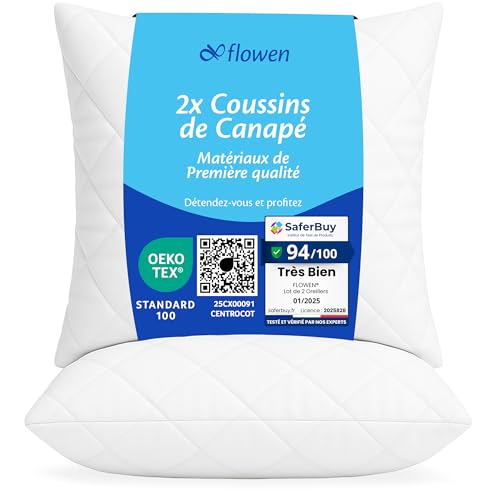 Flowen Coussin Canape 45x45 Lot de 2 Oreillers Decoratif Accessoires pour Sofa Decoration Aesthetic...