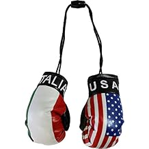 Flagline USA and Italy Flag Novelty Mini Boxing Gloves with Black Plastic Snap Connection