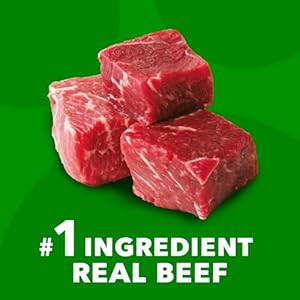 IAMS Proactive Health Adult Dry Dog Food Beef and Rice Recipe 15 lb Bag