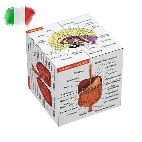 Cubo di Studio Anatomia Umana IN ITALIANO | Studia 9 parti del corpo umano | Cubo Modello di Anatomia | Ottimo regalo per infermieri e studenti di medicina