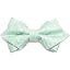 Seafoam Clara Paisley