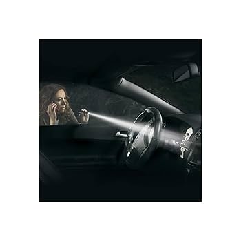 フェラーリ　マグライト フェラーリ 純正 599 430 付属 ミニ マグライト USA 懐中電灯