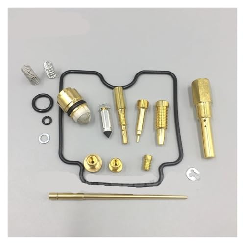 Kit réfection carburateur Raptor 250 pour révision mécanique hiver