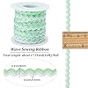 GORGECRAFT 17.5 Yards RIC Rac Christmas Rick Rack Mixed Color Wave Bending Fringe Trim 8mm Zig Zag Woven Braided Fabric for Wedding Clothes Sewing Art Craft Decoration, Pale Green White #1