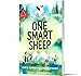 One Smart Sheep