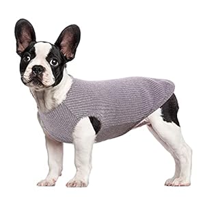HJUMARAYAN: Hondenhemd voor kleine honden, katten en huisdieren, gestreept T-shirt, zomer, cool vest, puppy, basic tanktop, zacht katoen, Chihuahua kleding voor Doggy Girl Boy (grijs XXS)