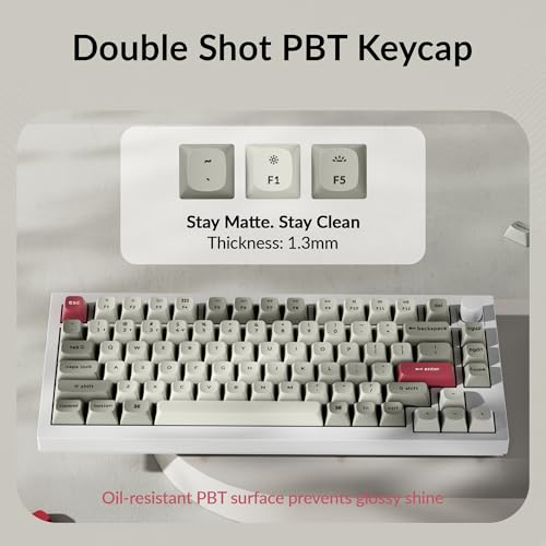 Image of Keychron OSA Profile Double-Shot PBT Keycap Full Keycap Set (141 Keys) - Retro, Compatible with MX Mechanical Switches, Non-Shine-Through, Fits ANSI Layouts (100%, TKL, 96%, 75%, 65%, 60%)