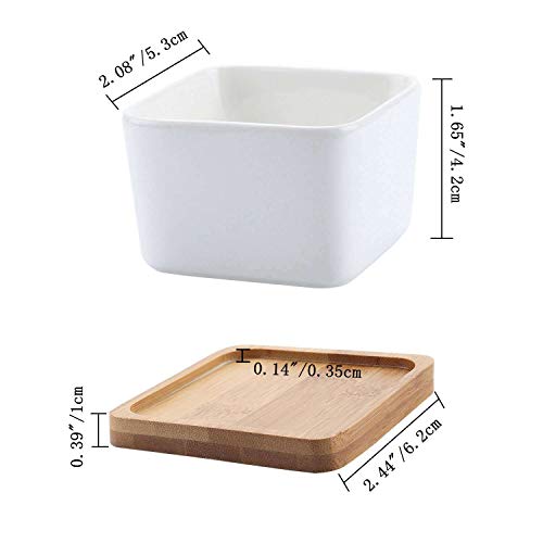 T4U, vasetto in ceramica per piante grasse da 7