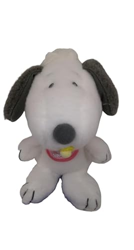 USJ Xk[ s[ ʂ xr[ jo[TX^WIWp