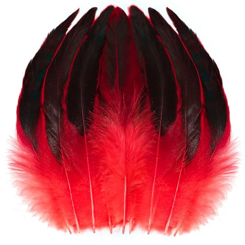 SOGUGOM Red Rooster Tail Feathers - 200 pcs 5-7 inch Craft Bulk Feathers for Craft Projects Halloween Hats and Party(Red)