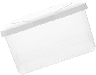 Toyvian Caixa De Lenços De Bebê Caixa De Recipientes De Bebê Recipientes Descartáveis De Viagem Lenços De Bebê Dispensador De Lenços De Bebê Dispensador De Lenços De Caixa Pp Toalha De