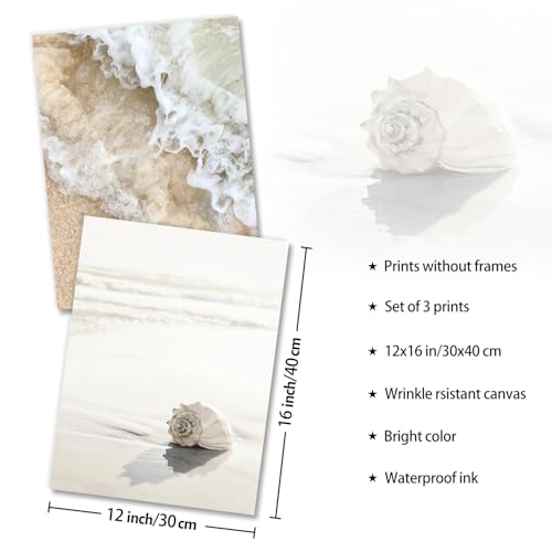 NymphFable Dazzlewall 3PCS Neutral Beach Wall Decor Poster Sea Conch Ocean Wave Prints, Coastal Wall Poster for Bathroom Living Room Decor 12x16 in Unframed
