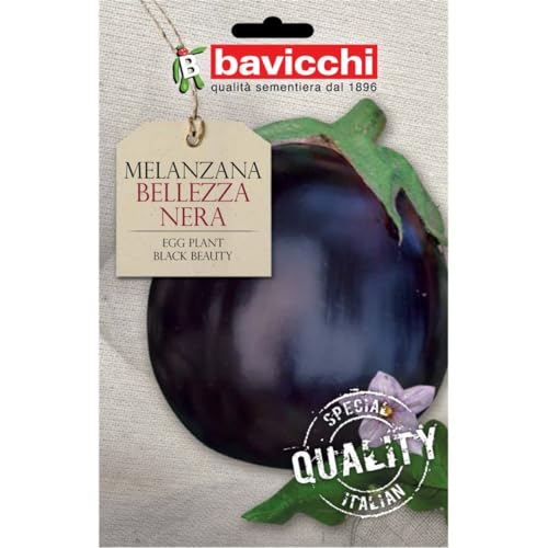 Bavicchi buste semi orto plus (Melanzana bellezza nera)