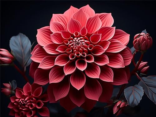 Jaxiaco Pintar por Numeros Adultos Niños Principiantes para DIY Pintura por Números 90x120cmcon 3 Pinceles y Pinturas Acrílica Decoraciones Kit para el Hogar, Sin Marco - (Dahlia) D-67